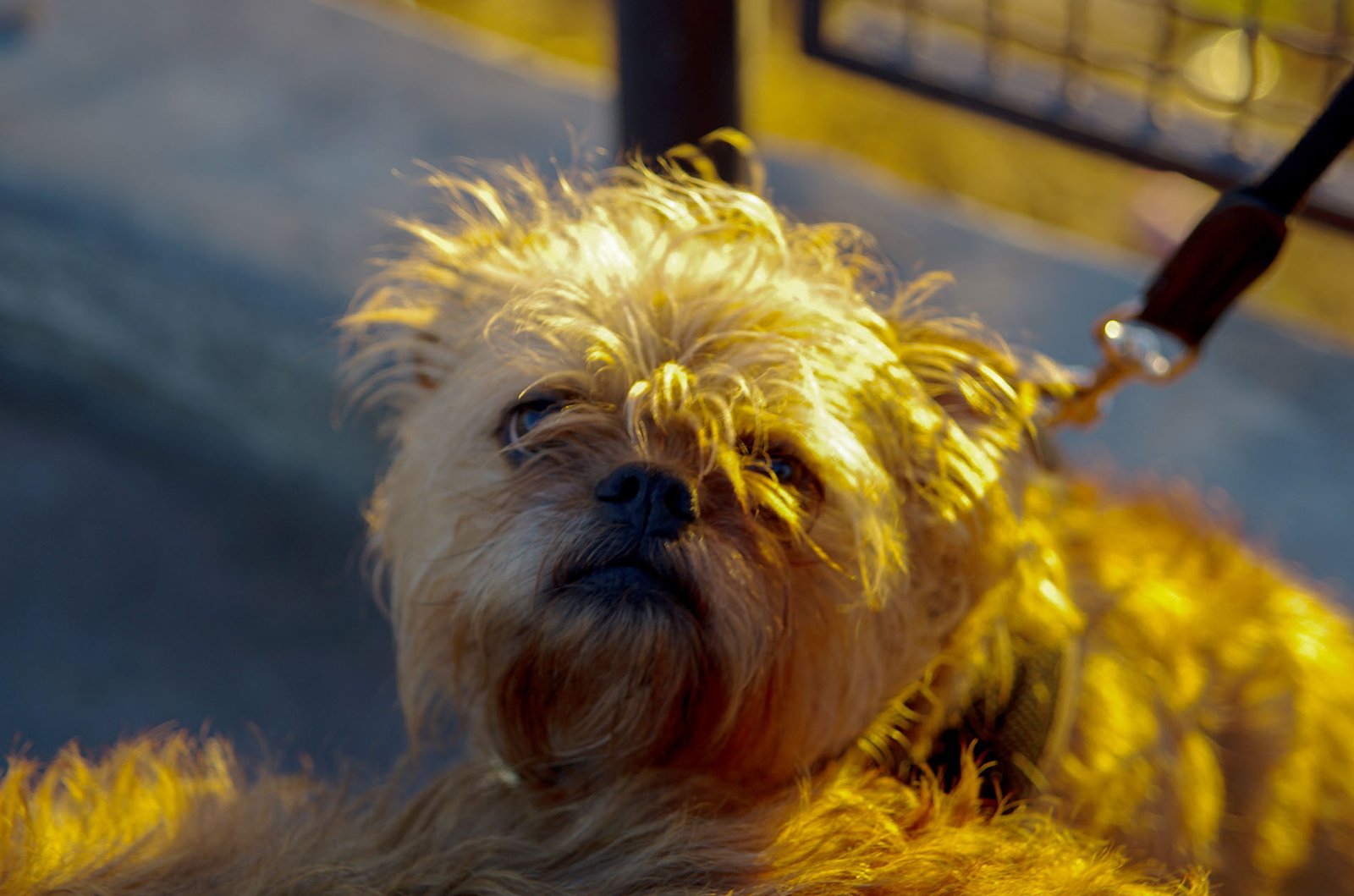 Griffith Observatory  067